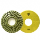 10'' 250mm Floor Grinder Dry/Wet Diamond Polishing Discs